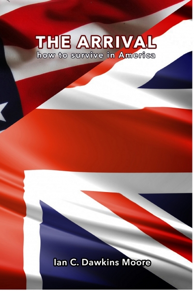 The Arrival: how to survive in America