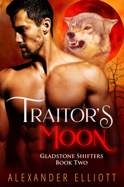 Traitor's Moon: An MM gay paranormal romance