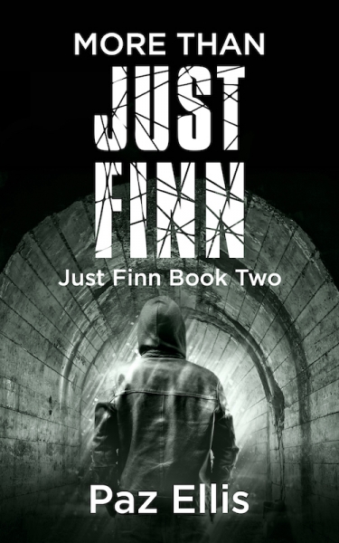 More Than Just Finn ~ Just Finn Book Two