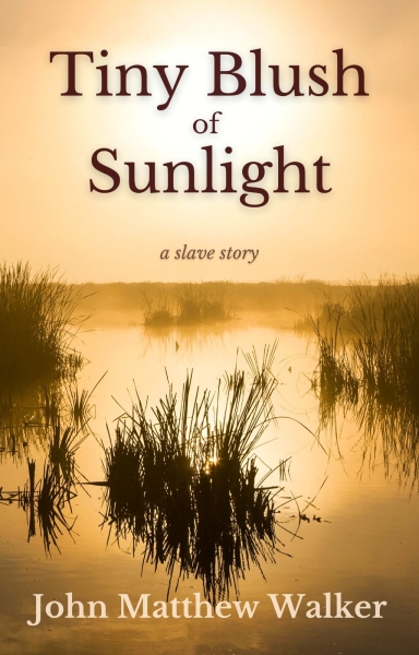 Tiny Blush of Sunlight: a slave story