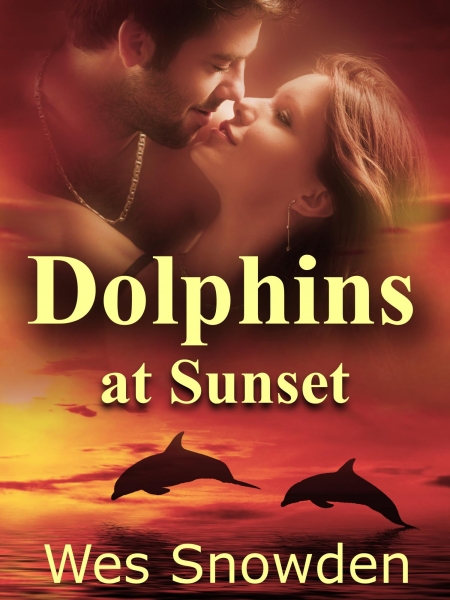 Dolphins at Sunset