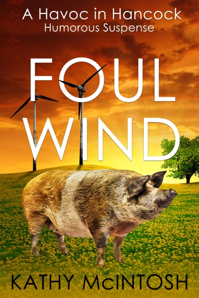 Foul Wind, A Havoc in Hancock Hilarious Female Sleuth Suspense