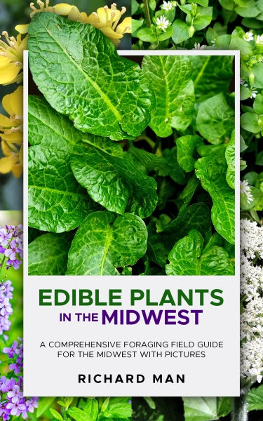 Edible Plants in the Midwest: A Comprehensive Foraging Field Guide for the Midwest with Pictures